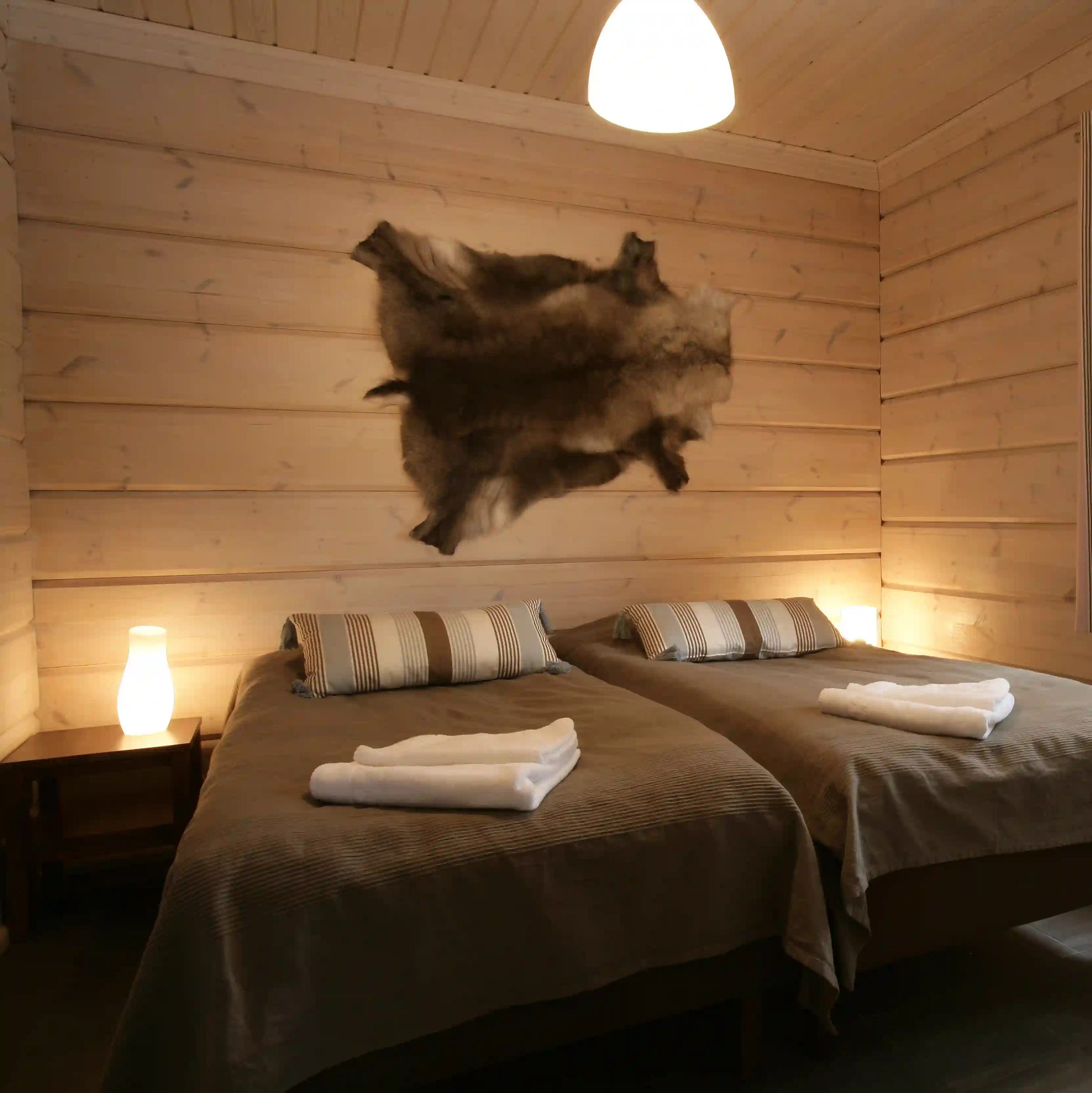Gallery image 6