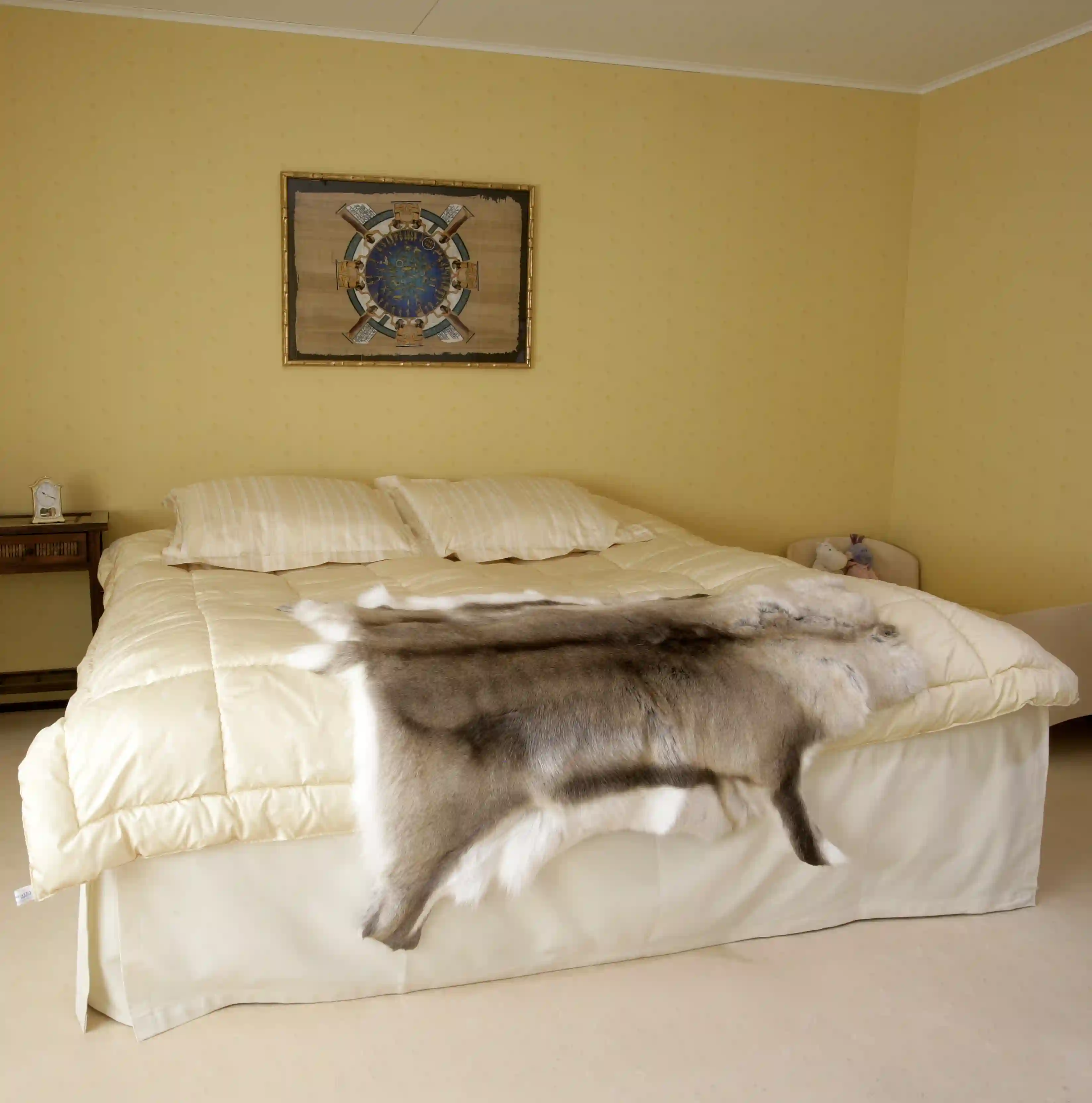 Gallery image 12