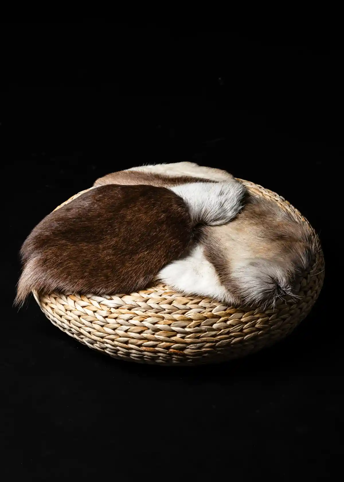 Seat cover 3