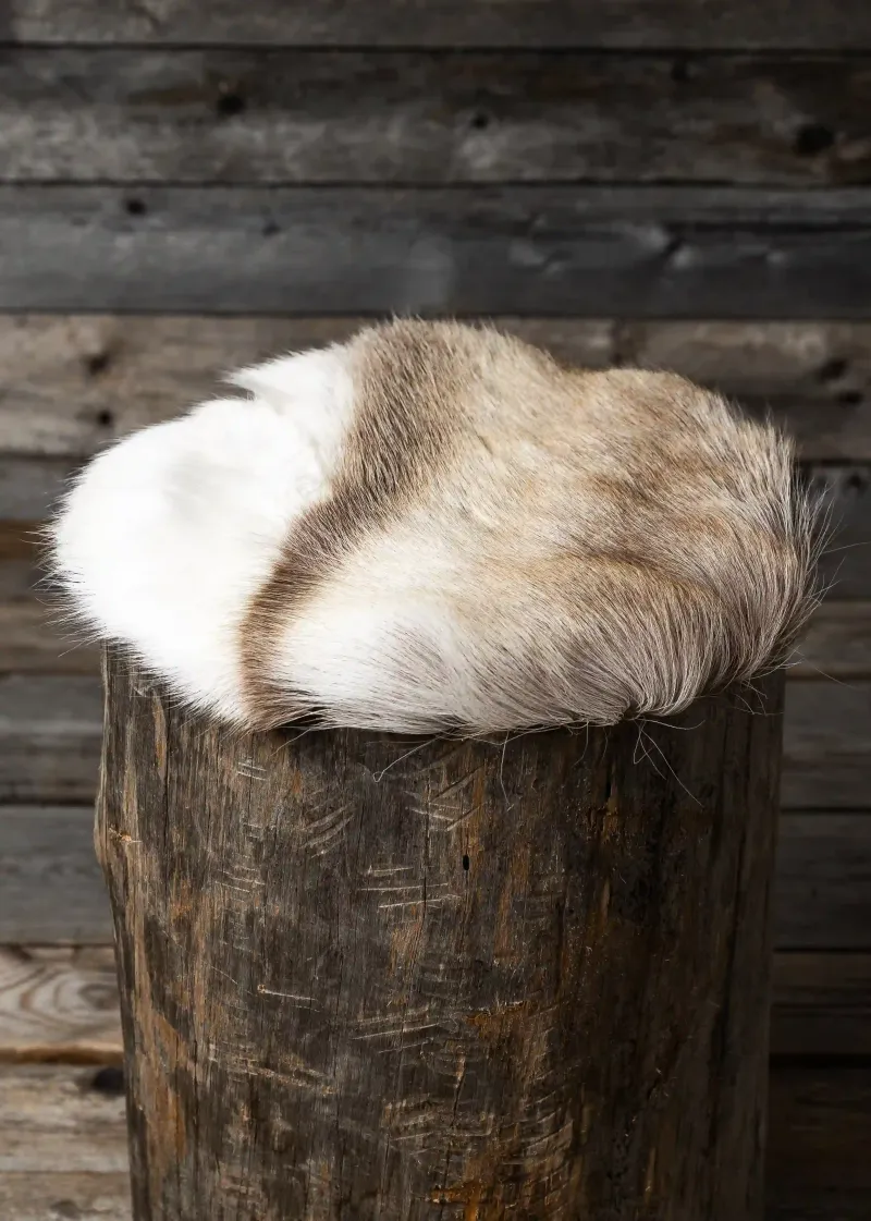 A reindeer hide seat cover on a tree-stump stool