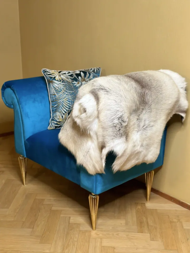 A light reindeer hide draped over a blue velvet armchair