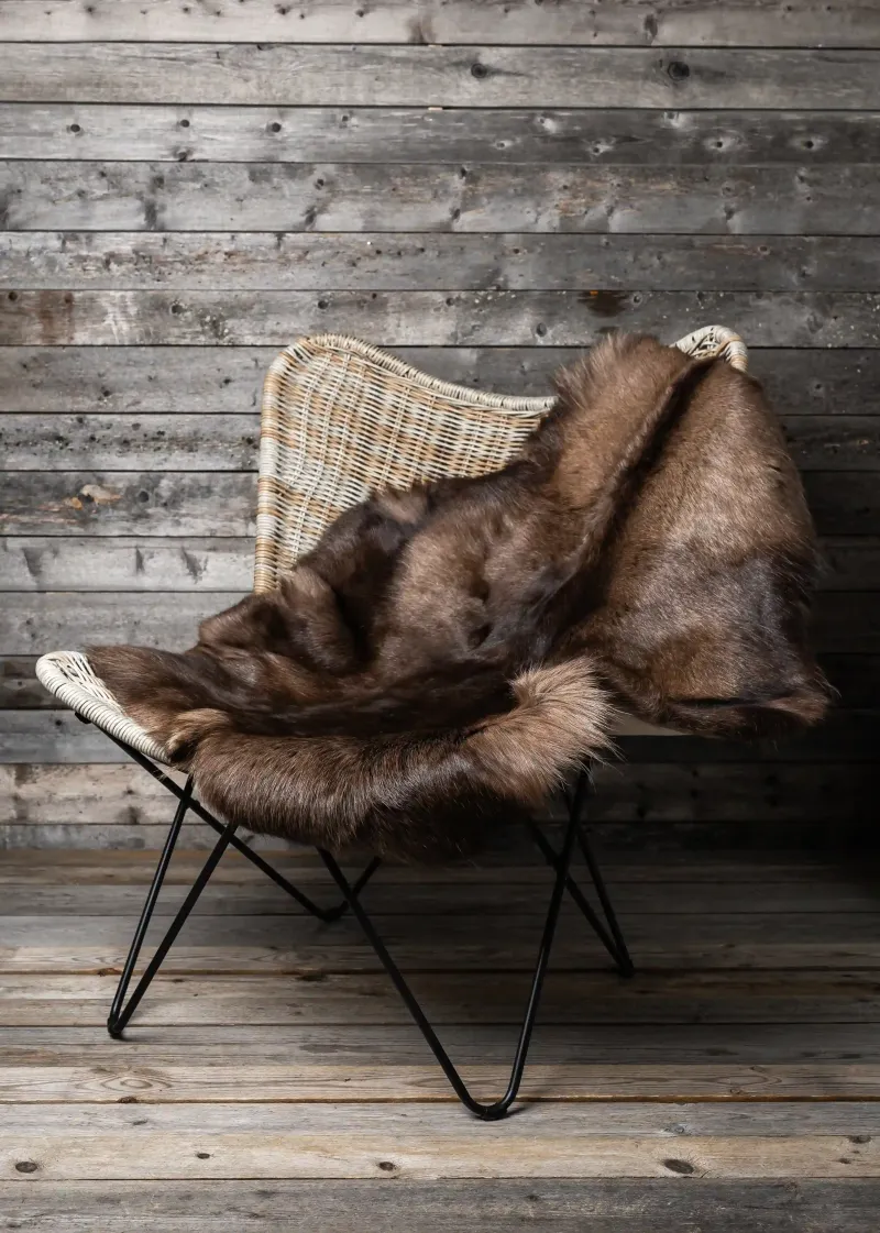 A dark reindeer hide on a rattan chair in front of a wooden wall