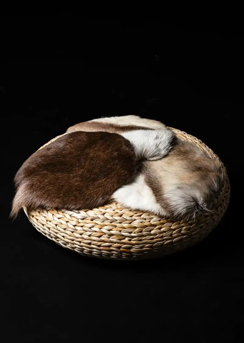 A reindeer hide seat cover on a rattan pouf against a black background