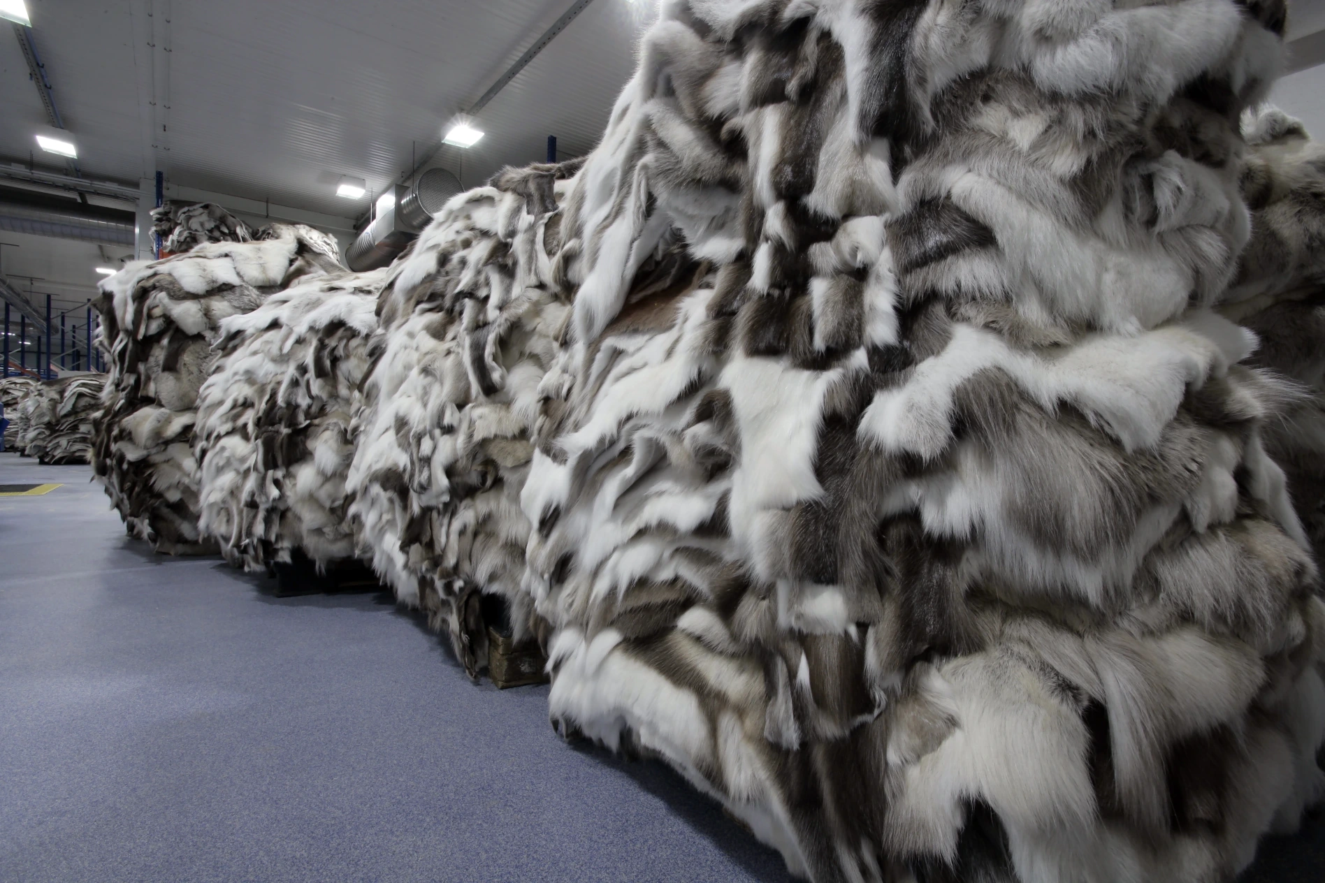 How to Care for Reindeer Hides: Complete Maintenance Guide